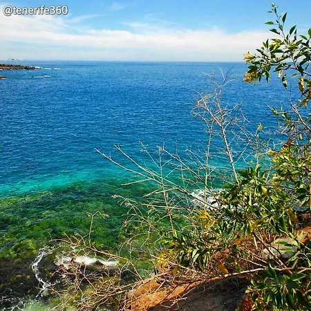 Panoramic View